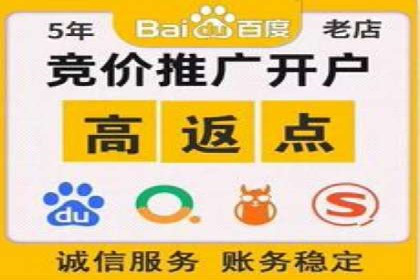SEM推广优化中的关键词策略——以某品牌为例